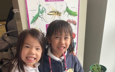 Glimpse Into A Classroom: JK1 – Junior Scientists!