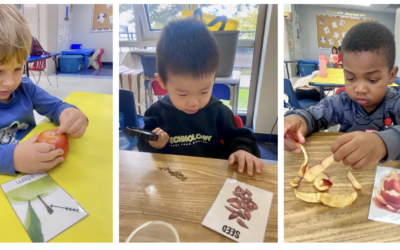 Glimpse Into A Classroom: PK2 – Apples!