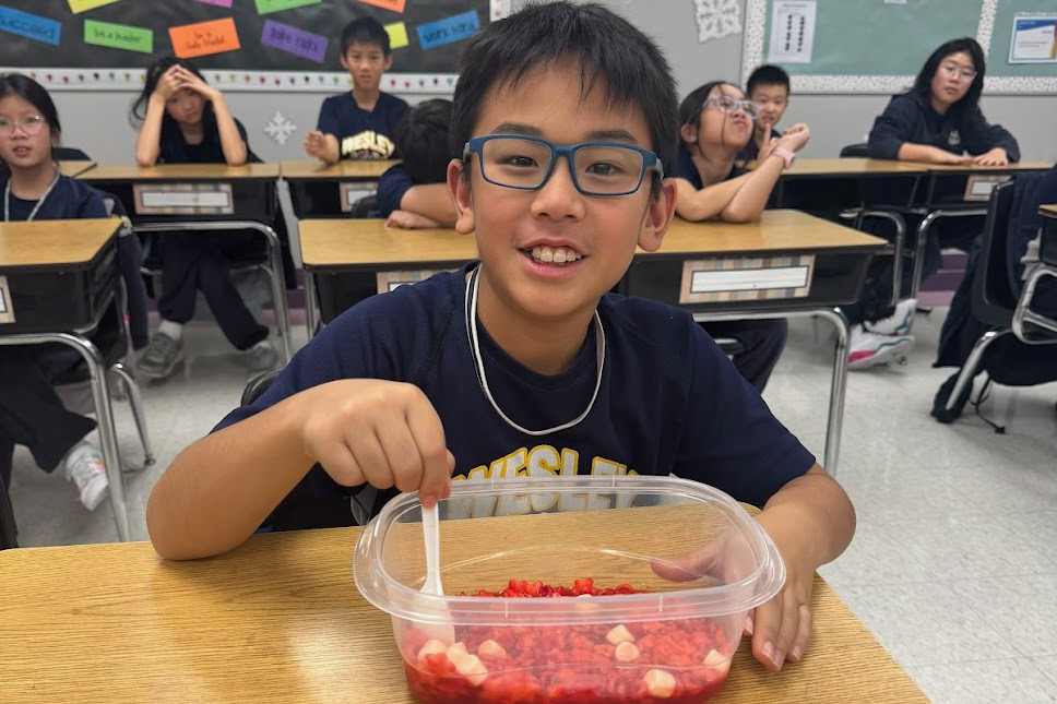 Glimpse Into A Classroom: Gr.5 Science – Respiratory & Circulatory Systems