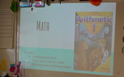 Glimpse Into A Classroom: Grade 1 Math – Graphing