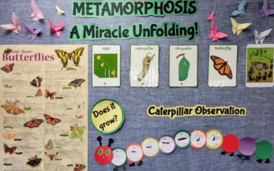 Glimpse Into A Classroom: SK1 – A Miracle Unfolding