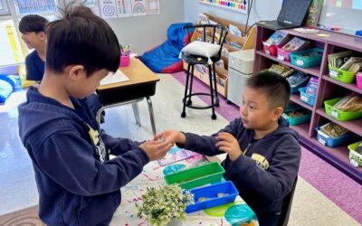 Glimpse Into A Classroom: Grade 2 Shopping Adventures!